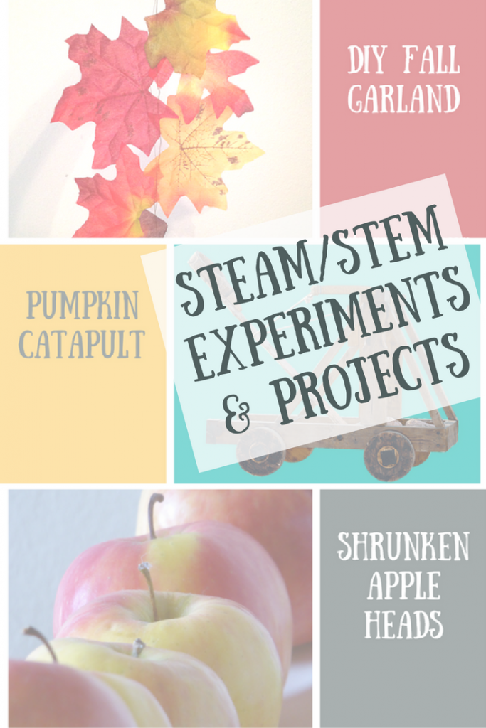 Fall Experiments and Projects | STEAM / STEM