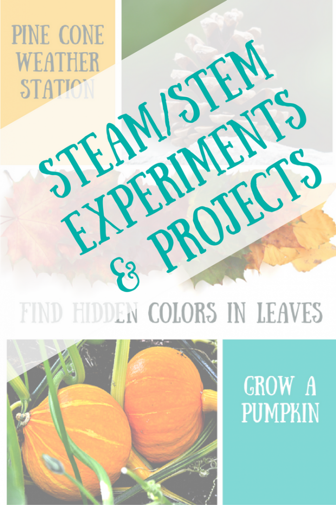 Fall Experiments and Projects | STEAM / STEM