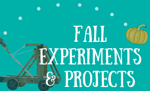 Fall Experiments and Projects