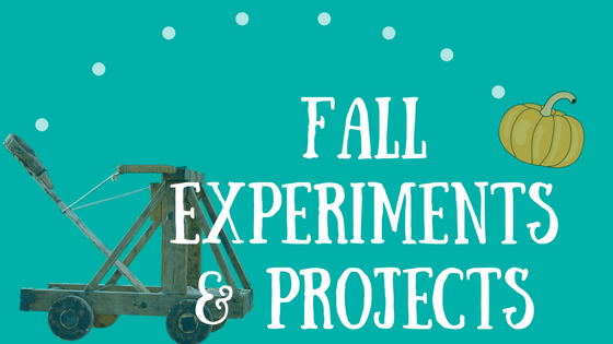 Fall Experiments and Projects